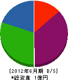 田尾設備 貸借対照表 2012年6月期