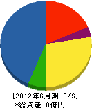 松永工業 貸借対照表 2012年6月期