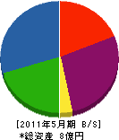斎藤遠心機工業 貸借対照表 2011年5月期