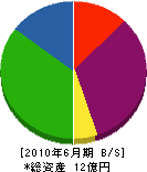 石川興業 貸借対照表 2010年6月期