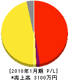 松田造園工業 損益計算書 2010年1月期