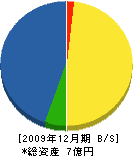 沢田建設 貸借対照表 2009年12月期