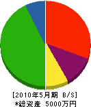野田塗装店 貸借対照表 2010年5月期