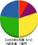 横山組 貸借対照表 2008年6月期