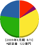 松阪興産 貸借対照表 2009年6月期