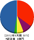 田中建設 貸借対照表 2012年8月期