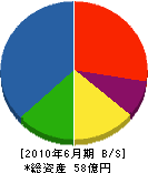 秋村組 貸借対照表 2010年6月期