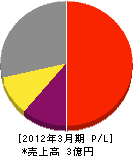 福岡ニッタンサービスセンター 損益計算書 2012年3月期