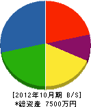 松井水道 貸借対照表 2012年10月期