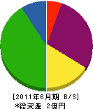 稗田工務店 貸借対照表 2011年6月期
