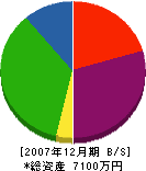 鬼塚塗装店 貸借対照表 2007年12月期