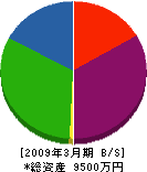 太田電気工業所 貸借対照表 2009年3月期