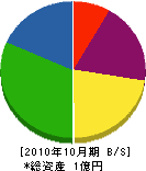 松本組 貸借対照表 2010年10月期