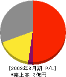 渋谷総業 損益計算書 2009年3月期