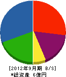 田村ボーリング 貸借対照表 2012年9月期