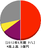 佐々忠 損益計算書 2012年6月期