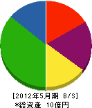 蒲田川工業 貸借対照表 2012年5月期