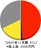 洋電チェーン中央店 損益計算書 2007年11月期