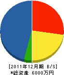 綾部技研 貸借対照表 2011年12月期