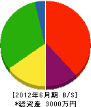 北日本ファラオン 貸借対照表 2012年6月期