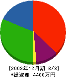 アベ総業 貸借対照表 2009年12月期