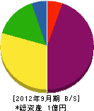 野田塗店 貸借対照表 2012年9月期