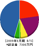 川田建設 貸借対照表 2009年6月期