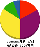 菅谷建設 貸借対照表 2008年5月期