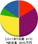 辻本電業社 貸借対照表 2011年5月期