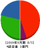 藤栄建設 貸借対照表 2009年9月期
