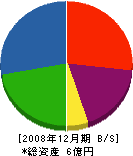 丸誠佐藤組 貸借対照表 2008年12月期