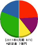 鈴木電設 貸借対照表 2011年6月期