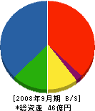 大栄電気 貸借対照表 2008年9月期