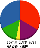 相澤工務店 貸借対照表 2007年12月期