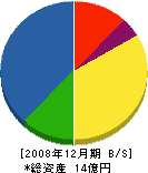 北海道電気技術サービス 貸借対照表 2008年12月期