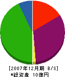 井廻運送 貸借対照表 2007年12月期