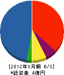 川内産業 貸借対照表 2012年3月期