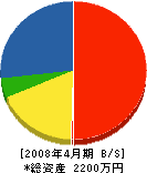浜村組 貸借対照表 2008年4月期