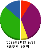中矢美装 貸借対照表 2011年6月期