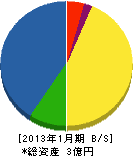 江丹別産業開発 貸借対照表 2013年1月期