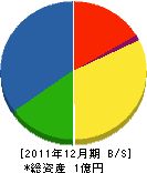 塚野住宅設備 貸借対照表 2011年12月期