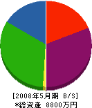 田中工務店 貸借対照表 2008年5月期