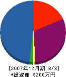 小瀬澤商店 貸借対照表 2007年12月期
