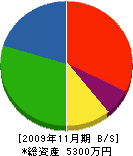 村上工業所 貸借対照表 2009年11月期