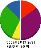 オダケスタジオ 貸借対照表 2008年2月期