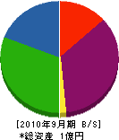 洋伸 貸借対照表 2010年9月期