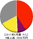 新井電業 損益計算書 2011年6月期