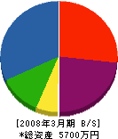 松前 貸借対照表 2008年3月期