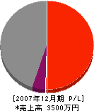 名辺田建設 損益計算書 2007年12月期