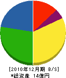 小島電設 貸借対照表 2010年12月期
